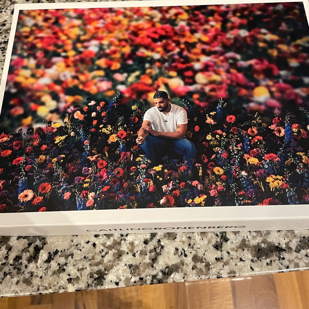 Limited edition - Drake Puzzle Golden Afternoon